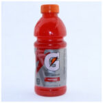 GATORADE 24/20 OZ FRUIT PUNCH