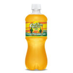 CACTUS COOLER  24/20 OZ ORANGE PINEAPPLE