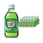 CANADA DRY 24/10 OZ GINGER ALE