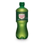 CANADA DRY 24/20 OZ GINGER ALE