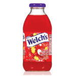 WELCH'S 12/16 OZ FRUIT PUNCH