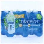 NIAGAR DRINKING WATER 24/16.9Z