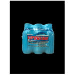 LIPOVITAN 6/3.3Z SUGAR FREE