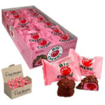 BIG CHERRY 24 CT MILKSHAKE