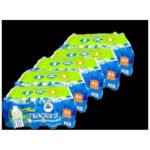 NIAGAR DRINKING WATER 40/16.9Z