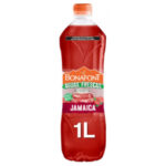 ODWALLA OD SMTH GL STBAN 12/13.9OZ